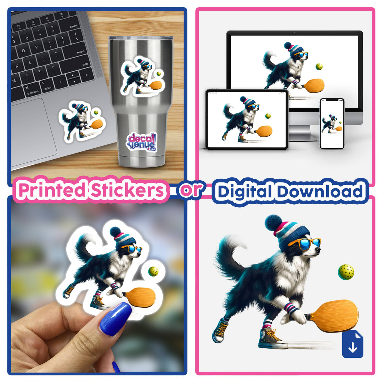 Hipster Border Collie Dog Playing Pickleball