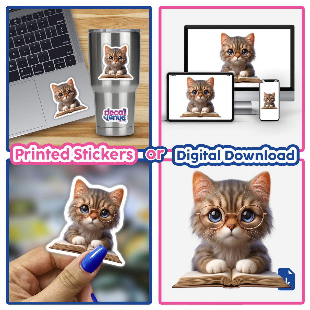 Cat With Reading Glasses Book