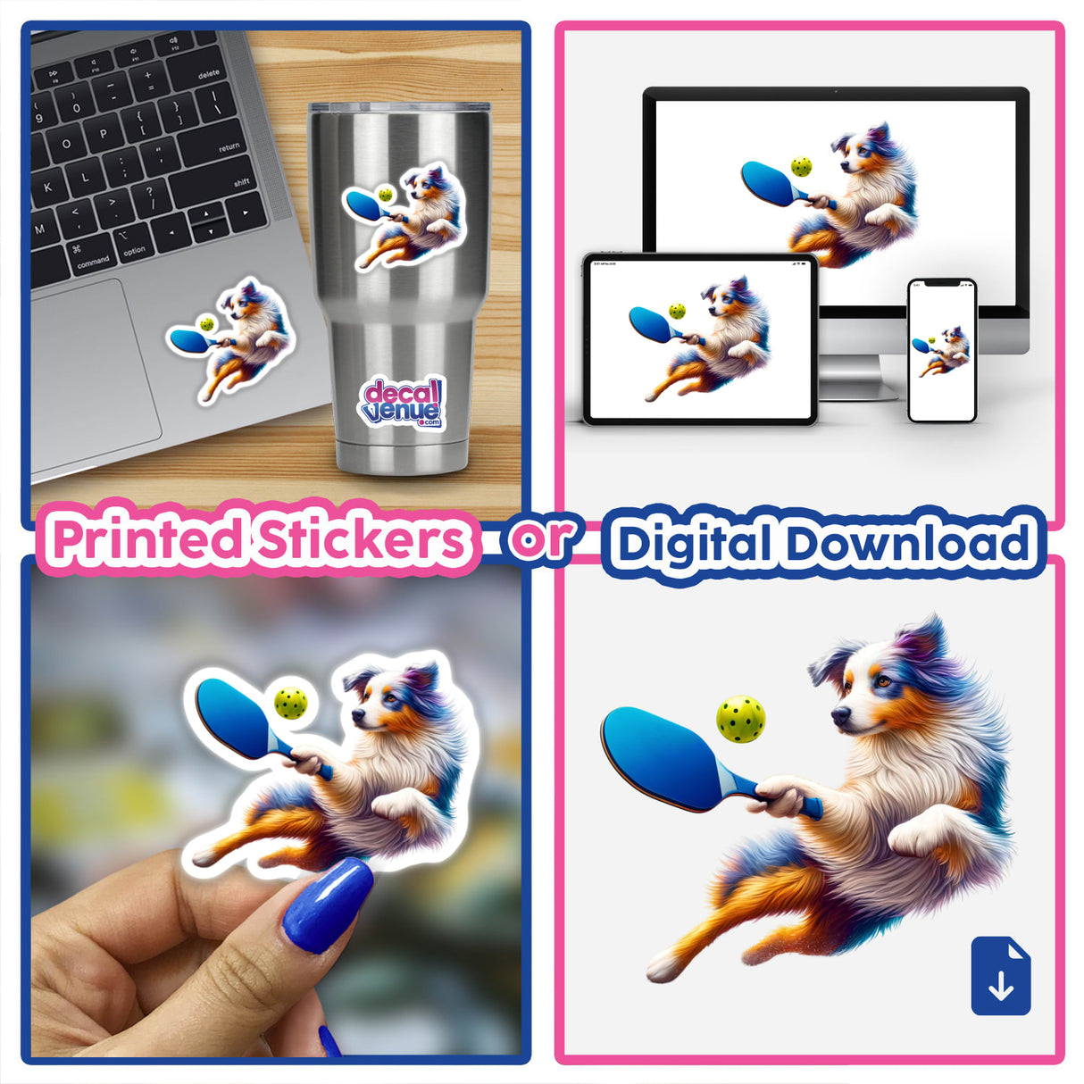 Australian Shepherd Playing Pickleball