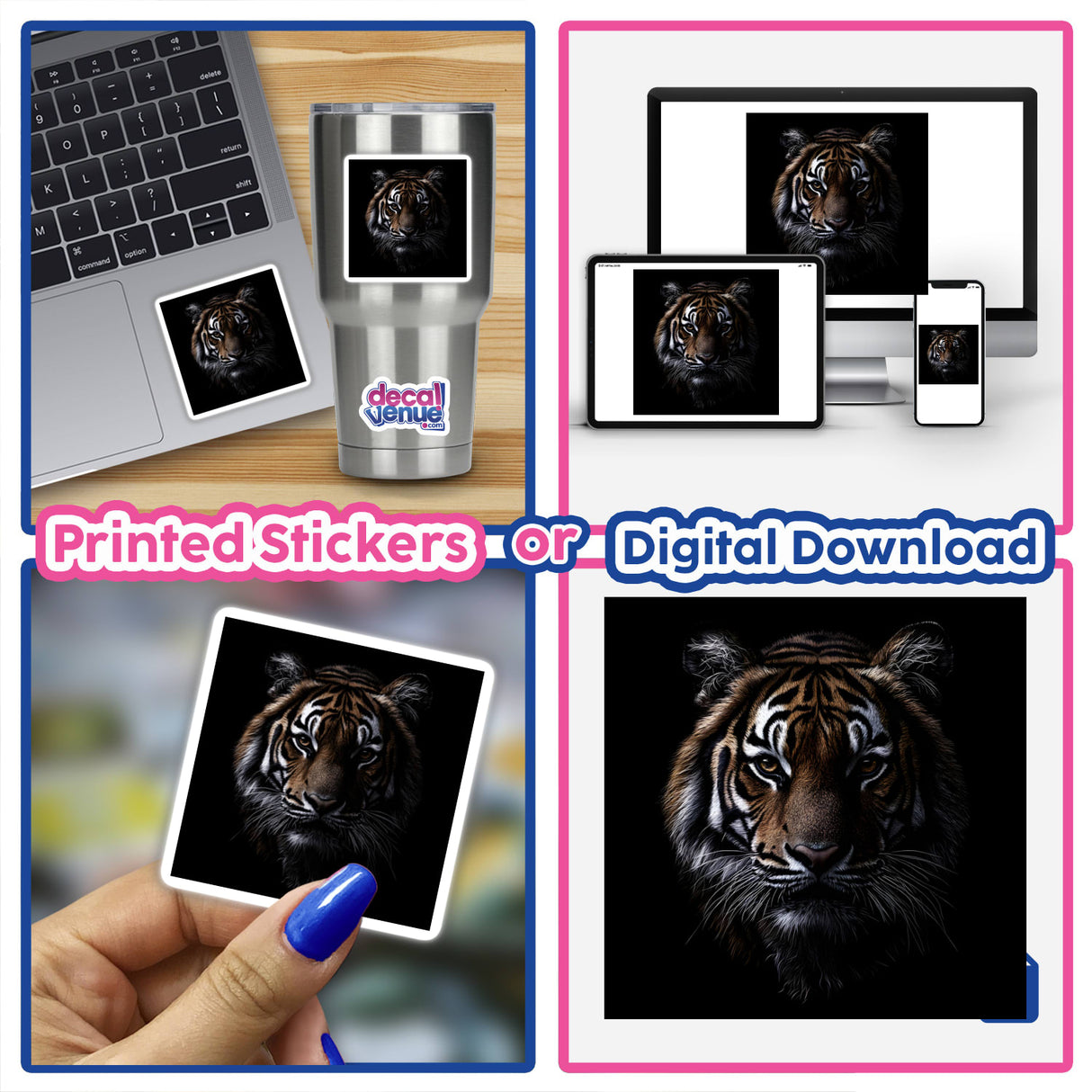 Cinematic Tiger Portrait on Black Background displayed on a laptop screen and as a sticker held in hand, showcasing a detailed tiger face for unique digital art or sticker options.