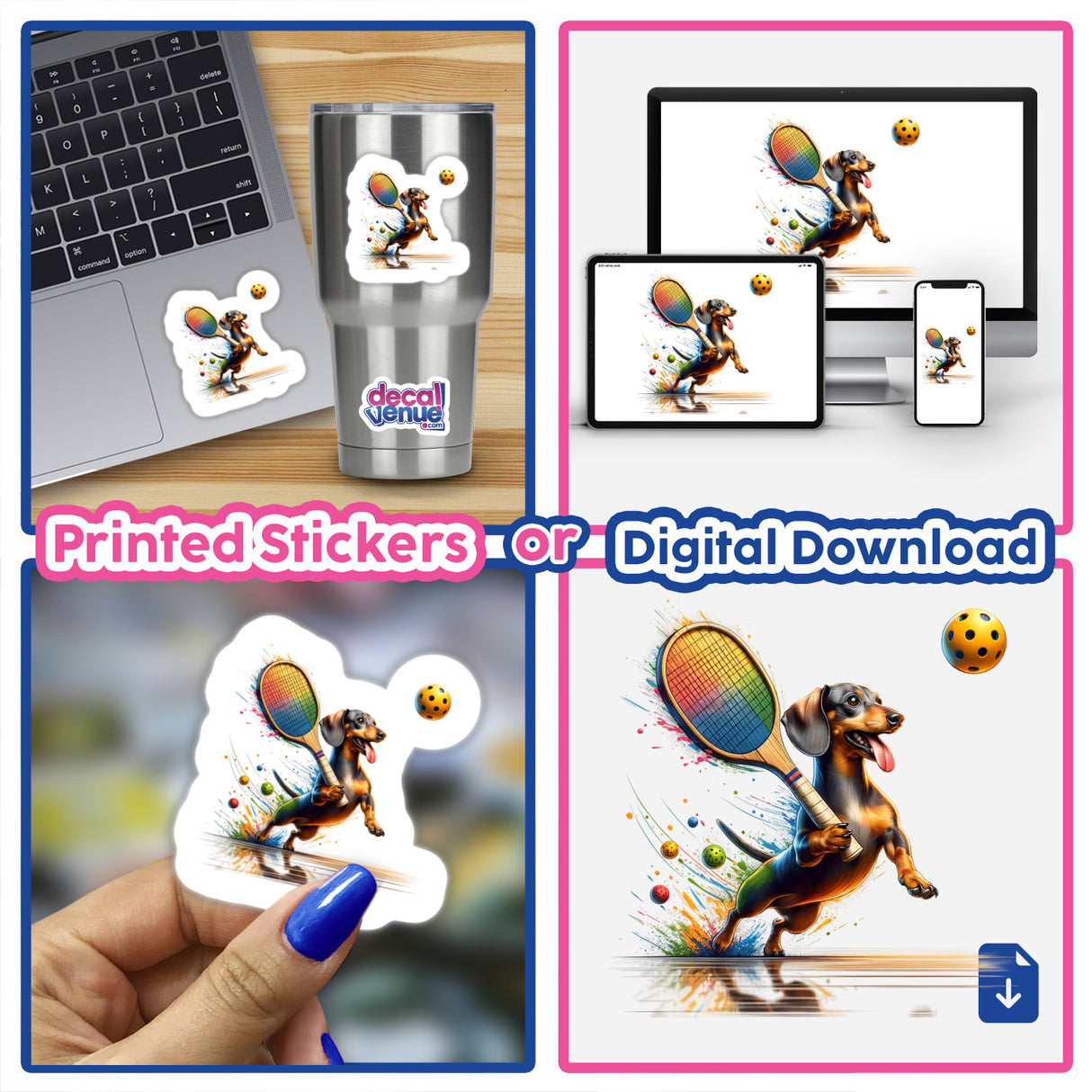 Dachshund Dog Playing Pickleball