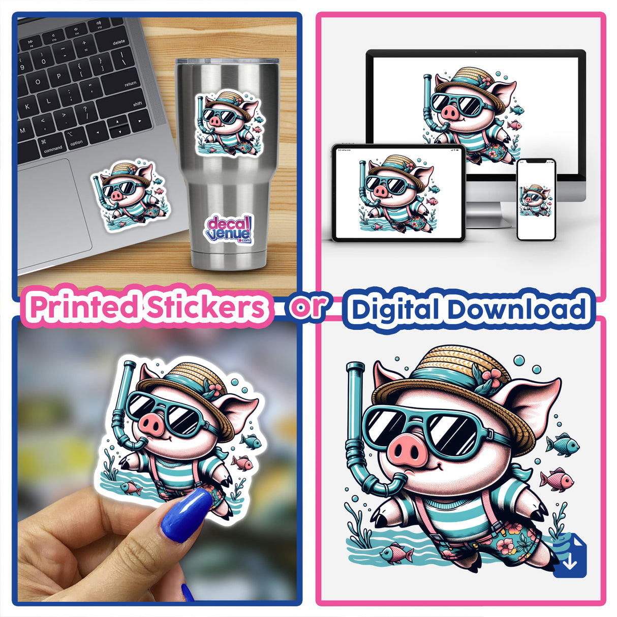 Stylish Pig Snorkeling