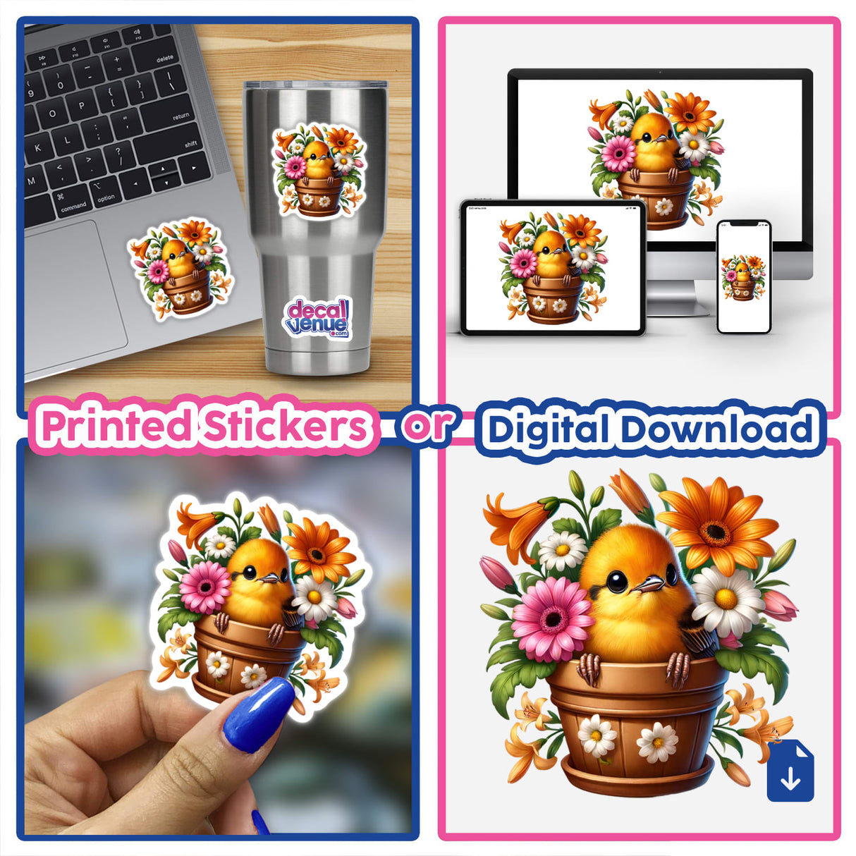 Oriole Bird Peeking Out of Flower Pot