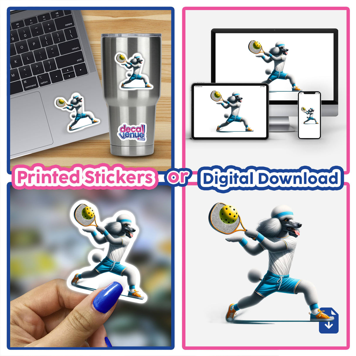 Poodle Dog Playing Pickleball