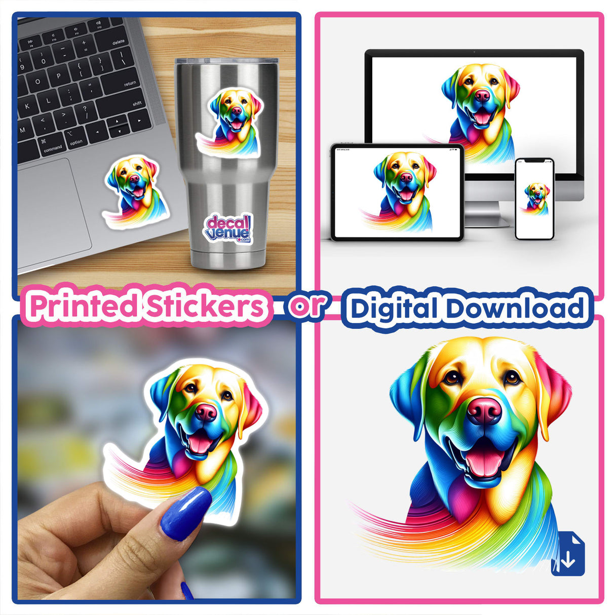 Rainbow Labrador Retriever Dog