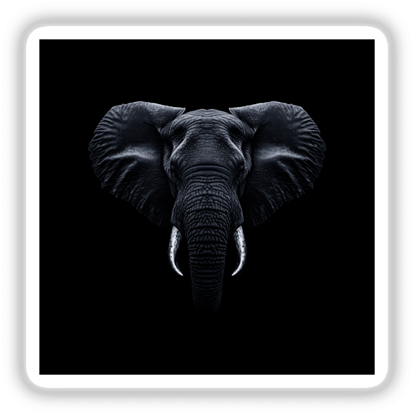 Cinematic Elephant Portrait on Black Background showcasing a detailed close-up of an elephant with prominent tusks and large ears. Available as stickers or digital artwork at Decal Venue.