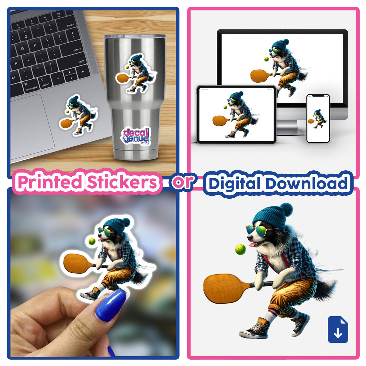 Hipster Border Collie Playing Pickleball