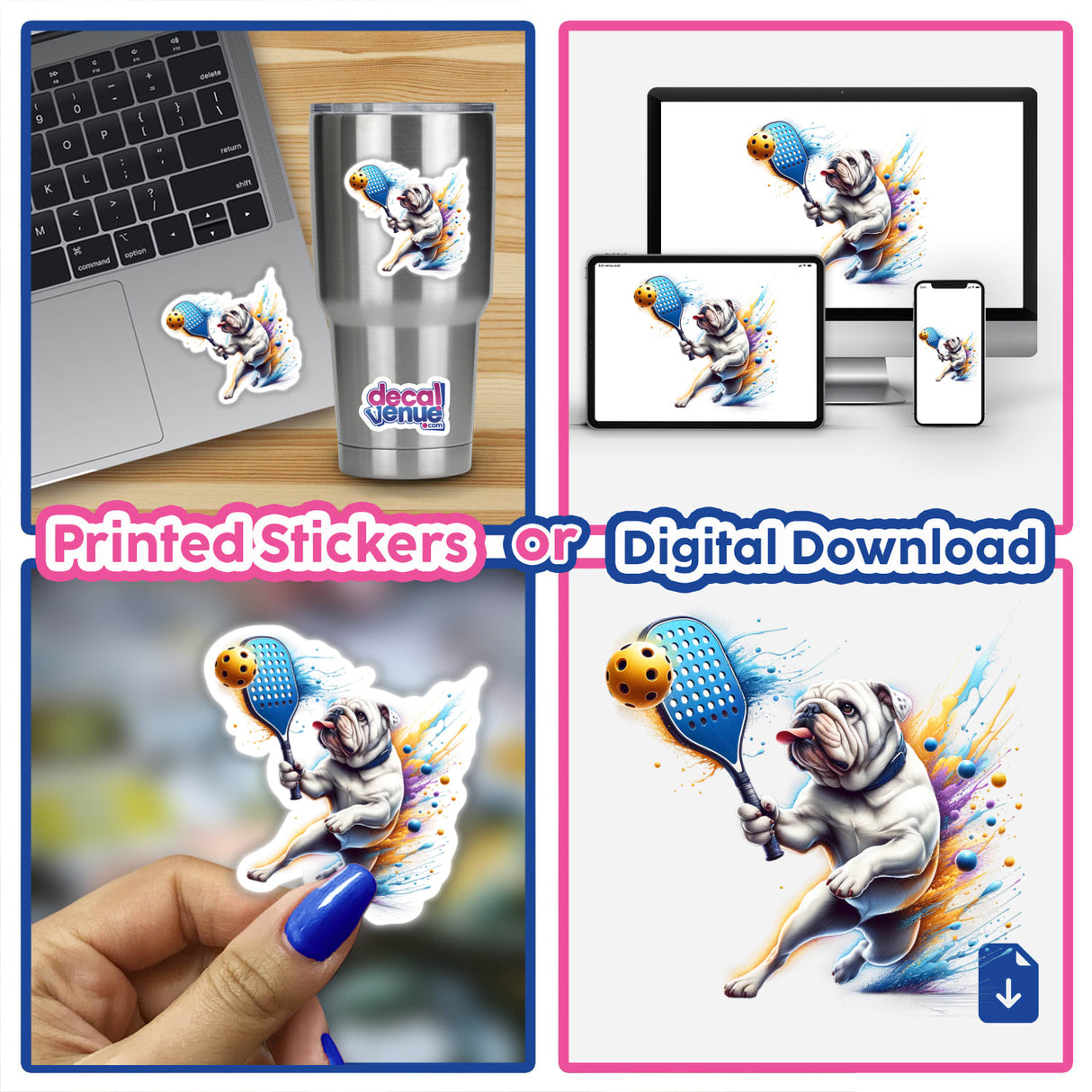 Bulldog Dog Playing Pickleball