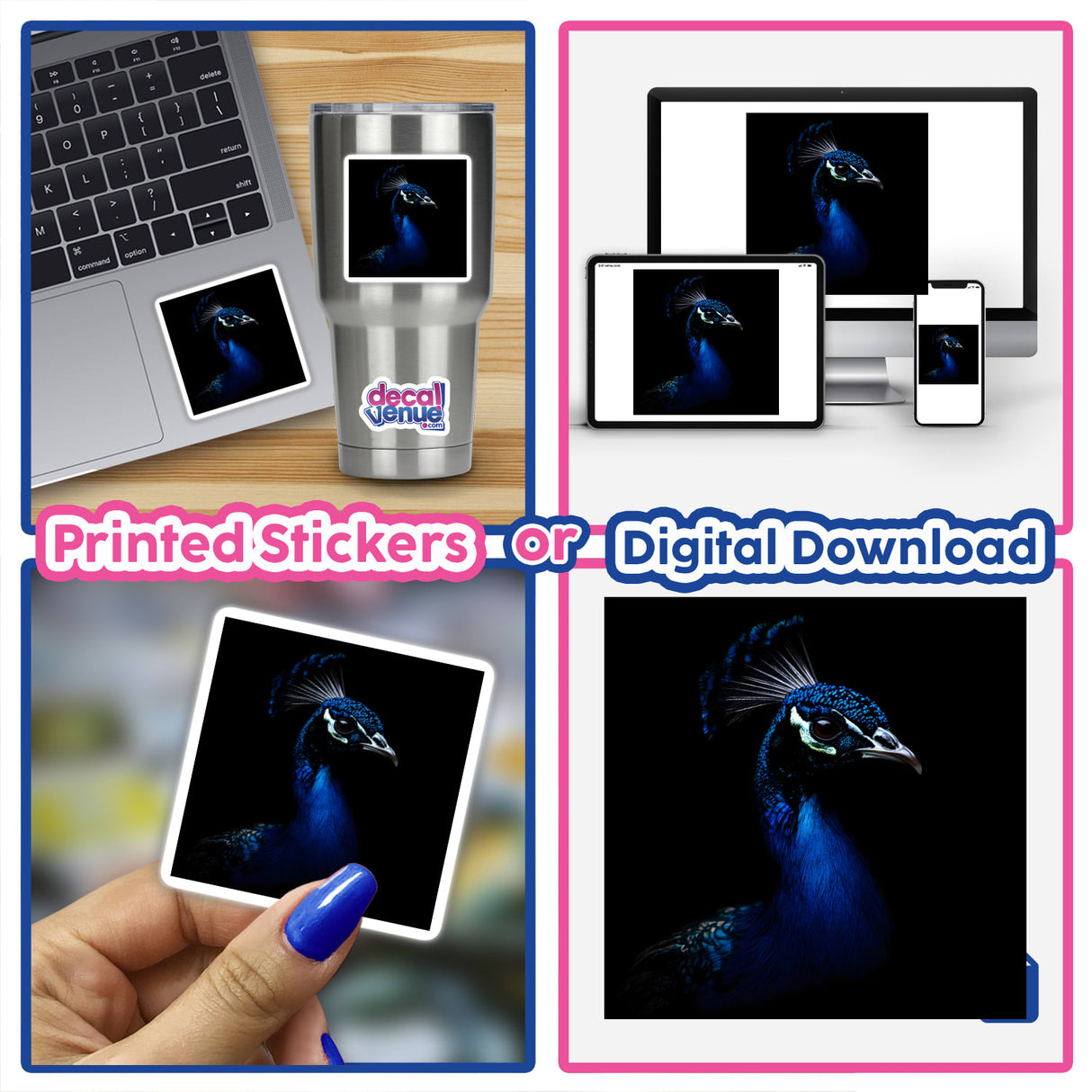 Cinematic Peacock Portrait on Black Background featuring a detailed collage of peacock images, including close-ups on various devices and prints. Available as unique stickers or digital artwork.