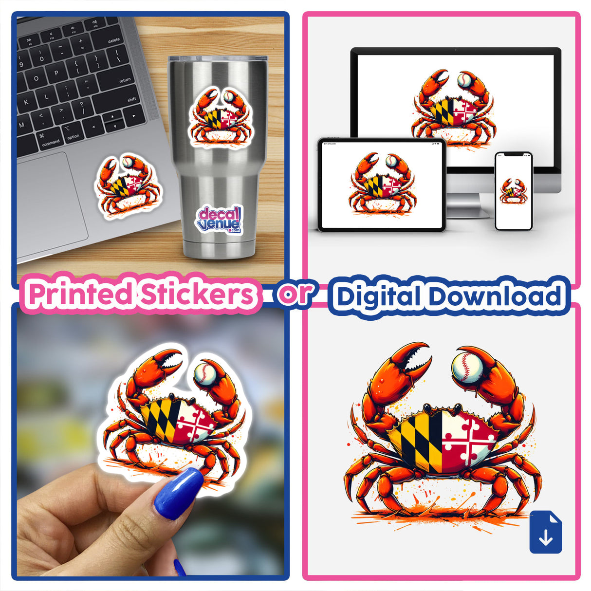 Maryland Steamed Baseball Crab design, featuring a Maryland flag pattern, displayed as vinyl stickers on various items and as digital artwork on screens, highlighting versatility in format and use.