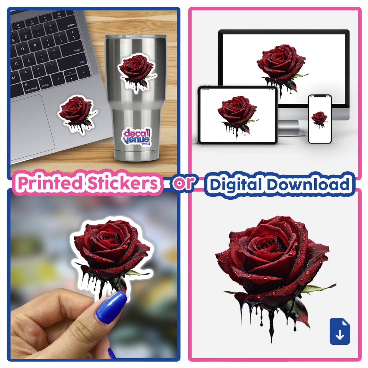 a collage of photos with a red rose on it