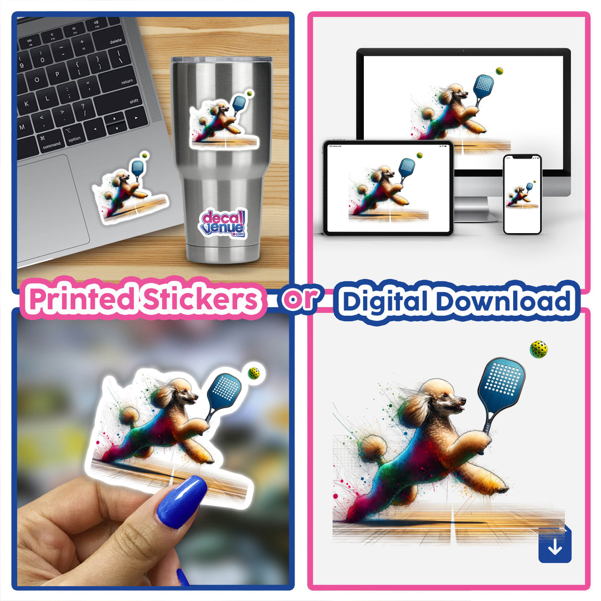 Poodle Dog Playing Pickleball