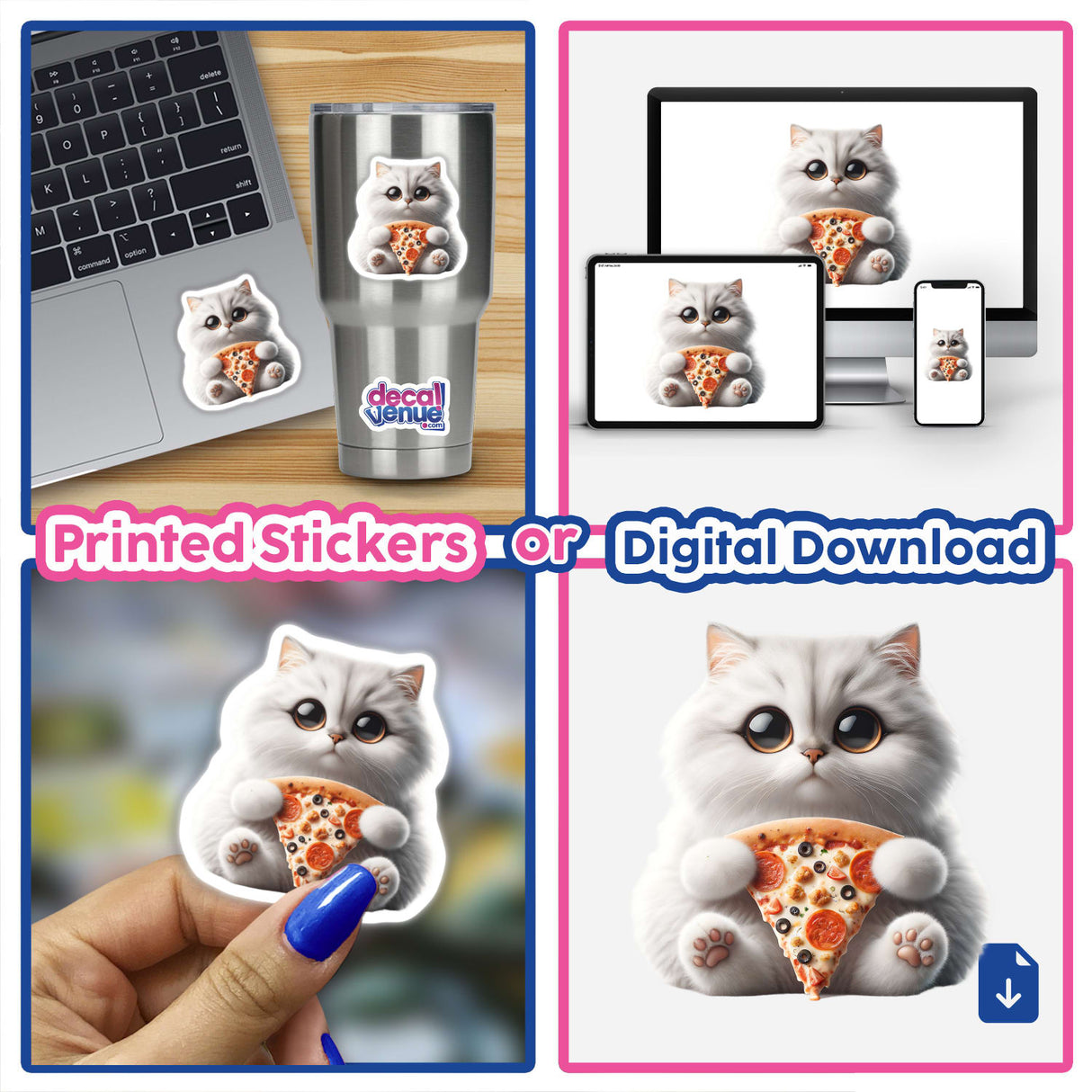 Fluffy White Kitten with Pizza Slice