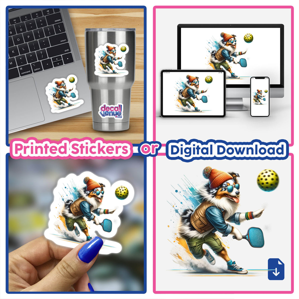 Trendy Australian Shepherd Playing Pickleball