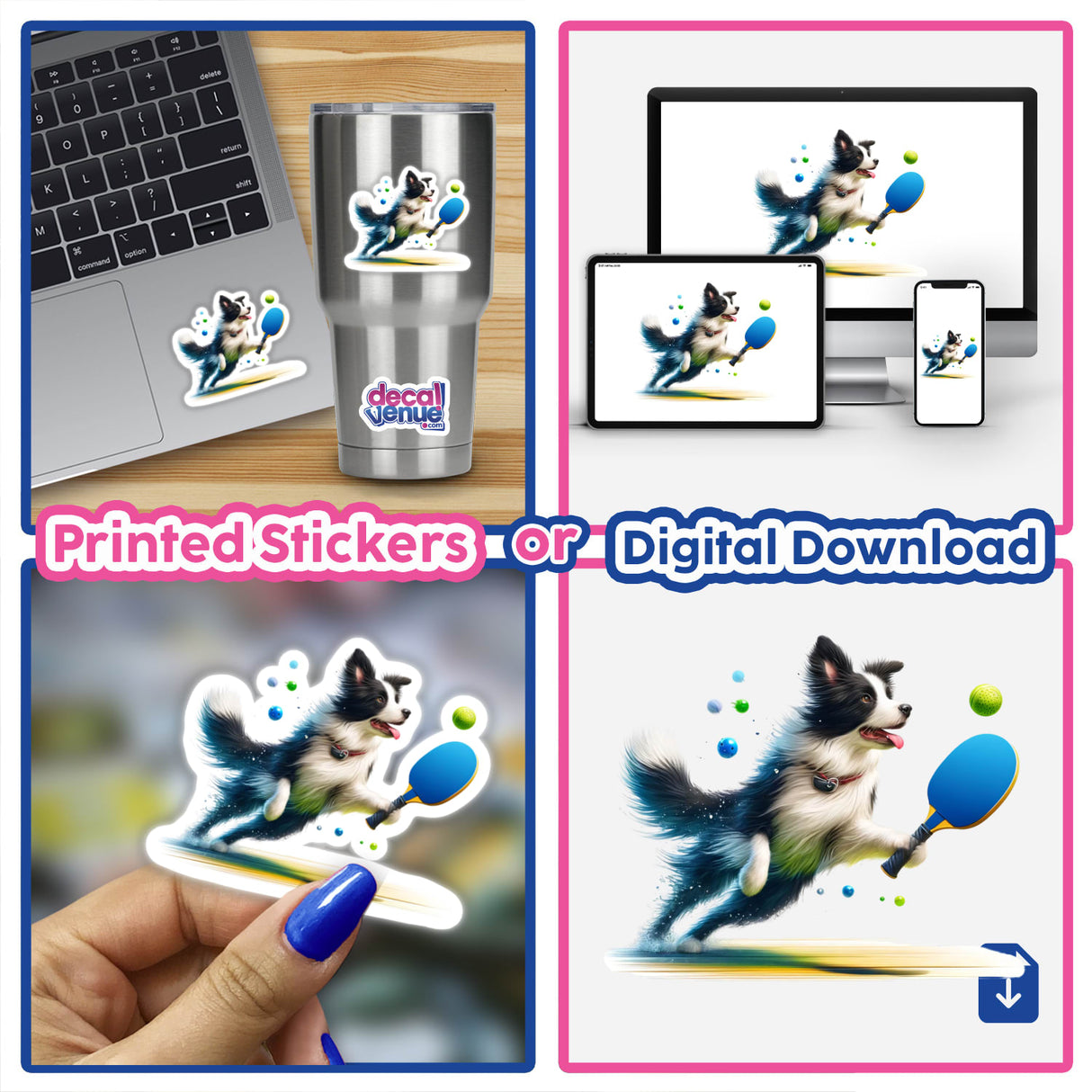 Border Collie Dog Playing Pickleball