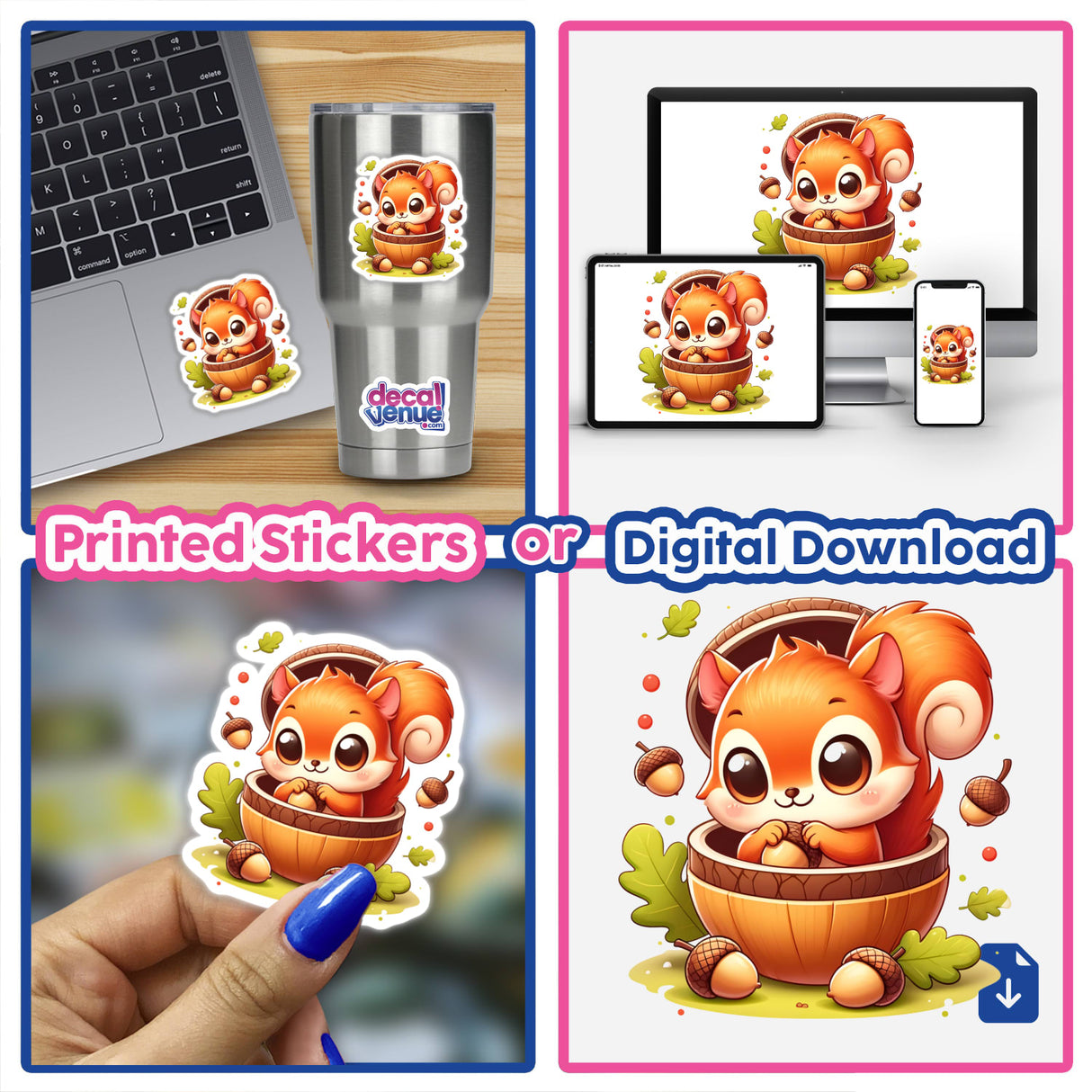 Cute Squirrel in a Nutshell