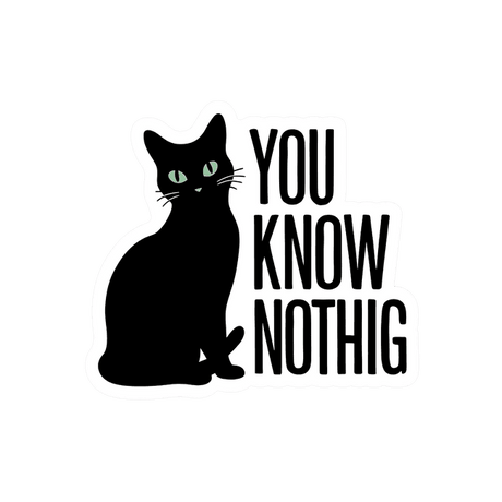 Know-It-All Black Cat