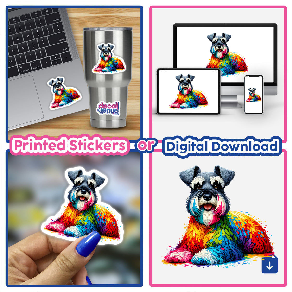 Rainbow Schnauzer Dog