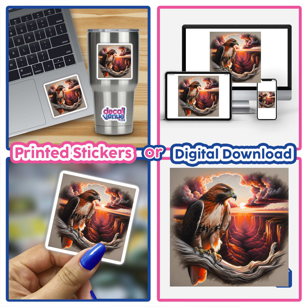 Collage of Hawk on a Gnarled Tree Branch in a Canyon Sunset sticker, featuring a detailed bird illustration, shown on a laptop and as a close-up decal.