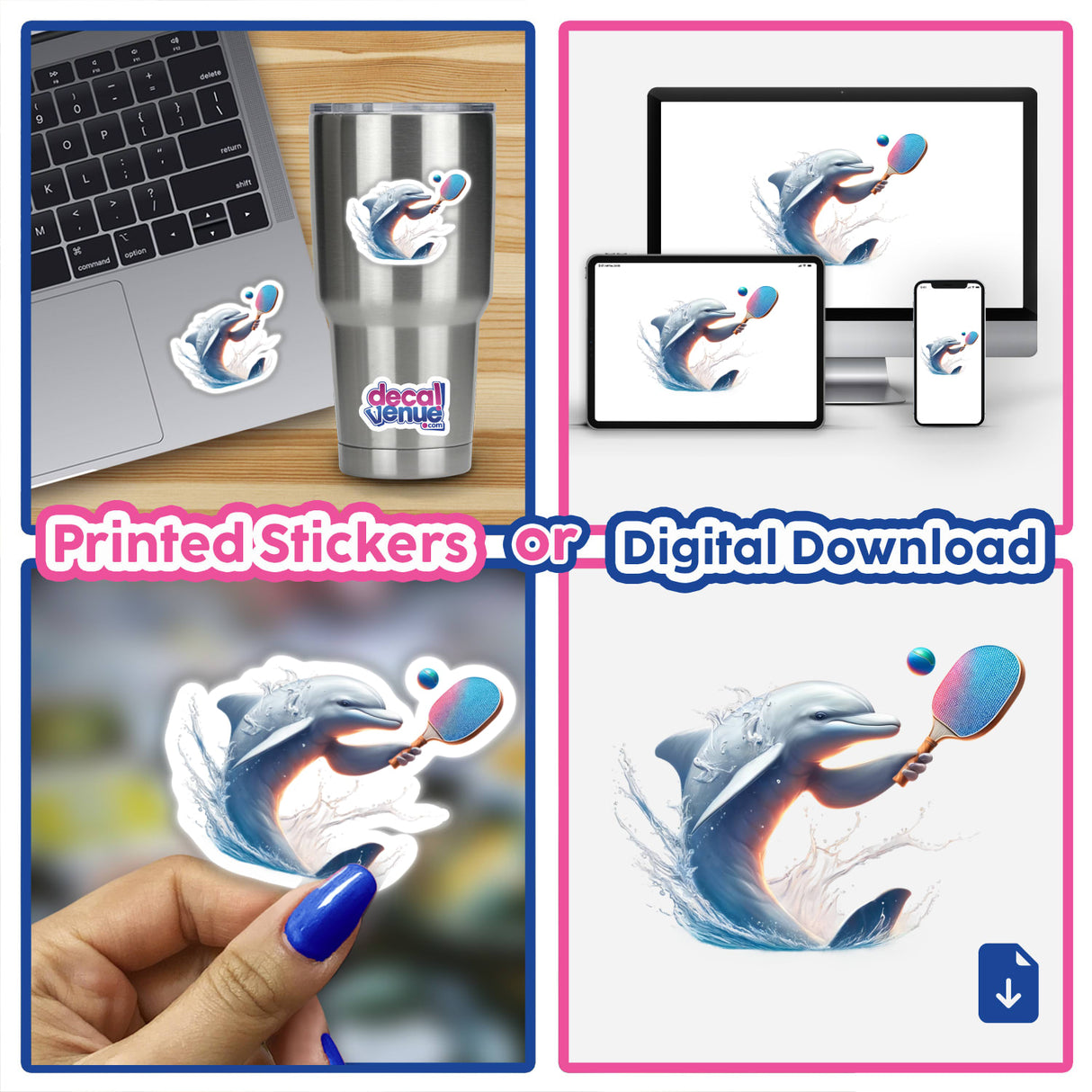 Dolphin Playing Pickleball