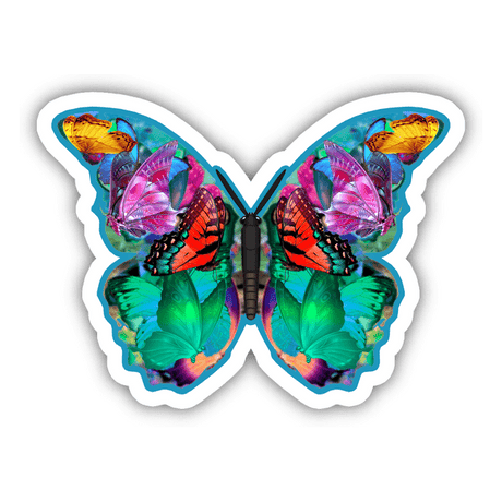 Colorful Butterfly 6