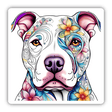 Floral Sugar Skull Pitbull