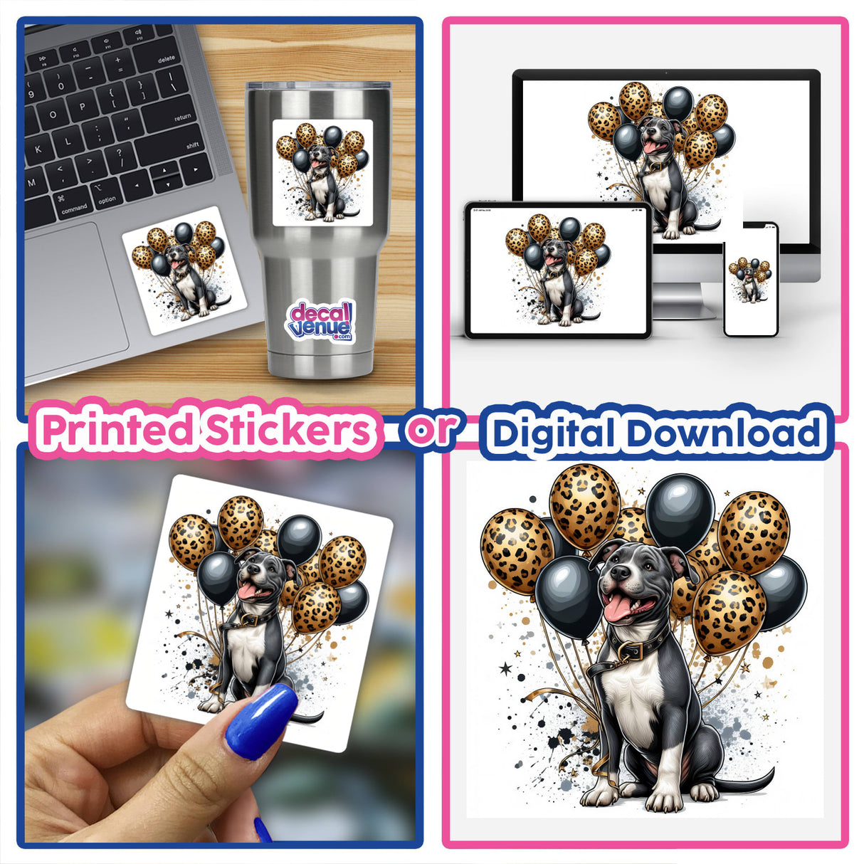 Party Pitbull w/ Black and Leopard Balloons