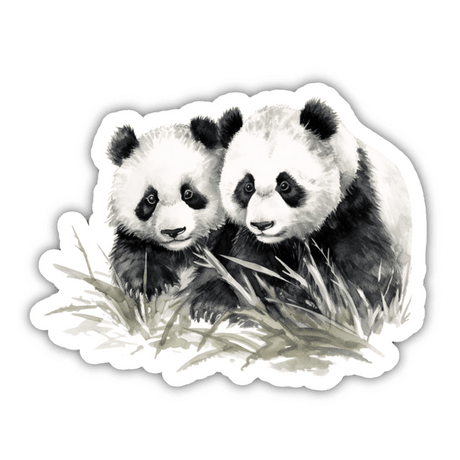 Panda 🐼 Couple ❤️