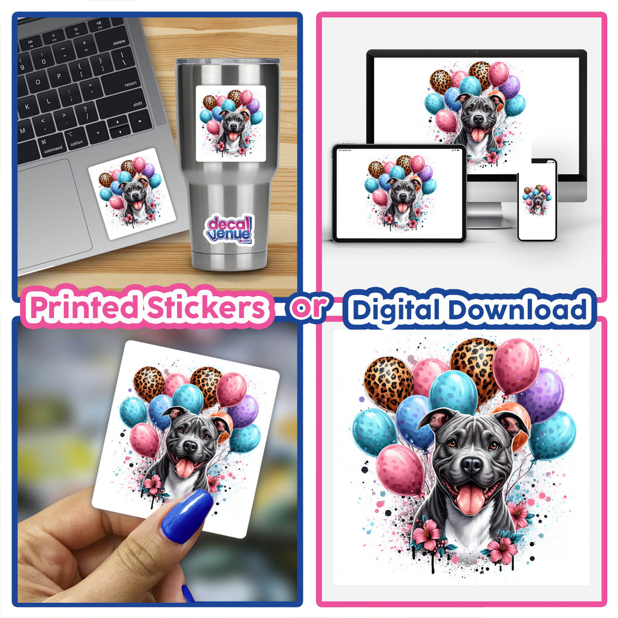 Pitbull with Leopard and Pastel Party Balloons