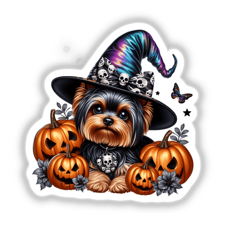 Adorable Yorkshire terrier dog wearing a Halloween witch hat, surrounded by carved pumpkins and spooky decorations against a white background.