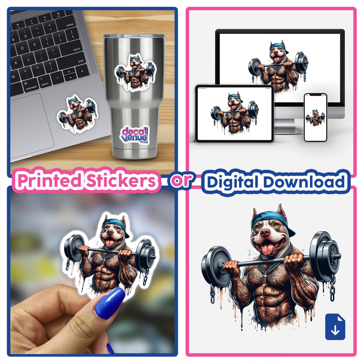 Muscular tattooed pitbull dog weightlifter digital artwork for stickers or digital download from Decal Venue, an online store offering unique stickers and digital art.