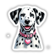Happy Dalmatian Dog Portrait featuring a close-up of a black and white Dalmatian with a heart-shaped pendant on a pink collar, available as stickers or digital artwork.
