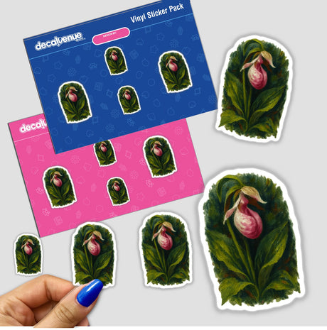 Minnesota State Flower Sticker or Clipart featuring a detailed Showy Lady’s Slipper design, available as stickers or digital artwork. Ideal for adding a unique botanical touch to projects.
