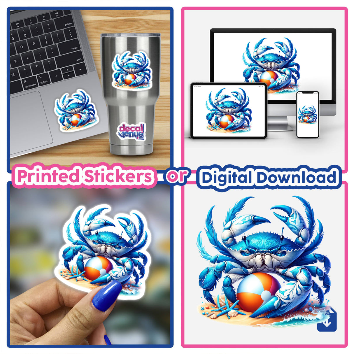 Blue Sand Crab with Beach Ball