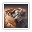 Kitten in Cozy Cardboard Box: A small cat comfortably sleeps inside a cardboard box. Available as stickers or digital artwork from Decal Venue, specializing in unique stickers and digital art.