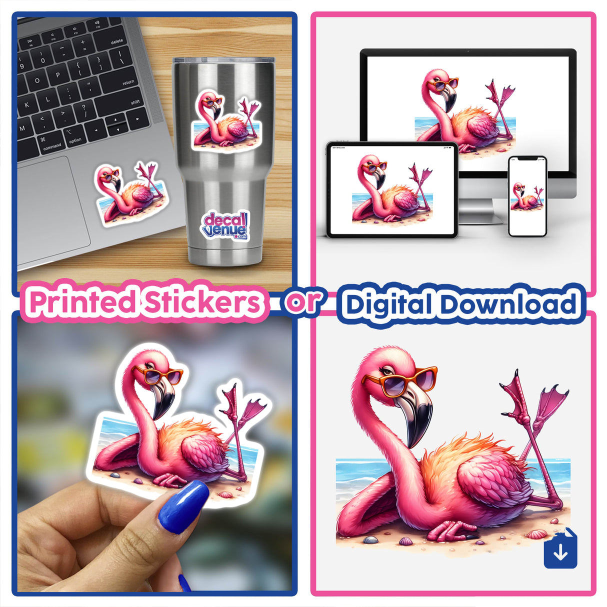 Sassy Flamingo on Beach