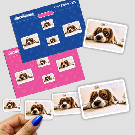 Cocker Spaniel vinyl sticker or digital artwork featuring a detailed close-up of the dog's expressive face and nose, capturing the breed's distinctive charm and personality.