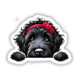 Peeking Black Goldendoodle Dog with a red headband, available as stickers or digital artwork, showcasing the dog's playful expression in a unique, sketch-style design.