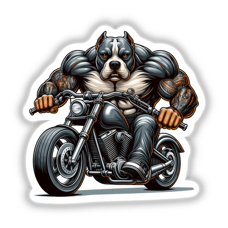 Motorcycle Biker Pitbull Dog
