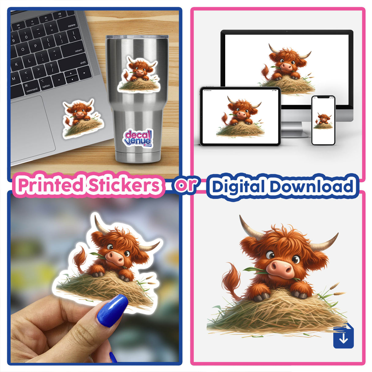 Highland Cow Peeking over Haystack