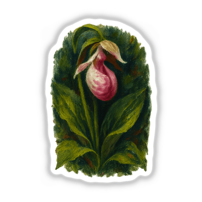 Minnesota State Flower Sticker or Clipart featuring a Showy Lady’s Slipper design, available as stickers or digital artwork, showcasing intricate floral details suitable for commercial use.