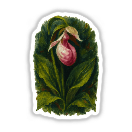 Minnesota State Flower Sticker or Clipart featuring a Showy Lady’s Slipper design, available as stickers or digital artwork, showcasing intricate floral details suitable for commercial use.