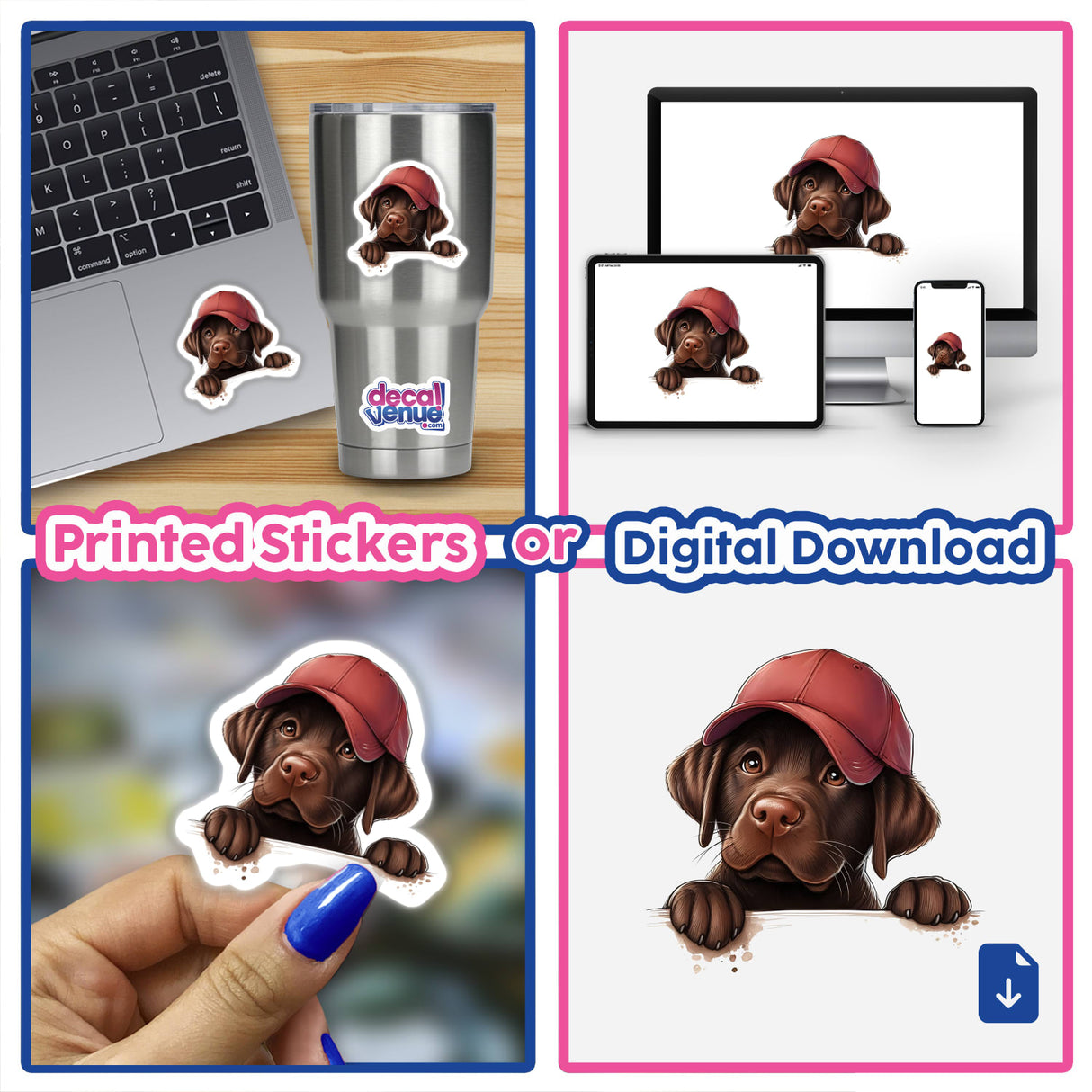 Peeking Chocolate Lab Dog Sticker Pack | Decal Venue