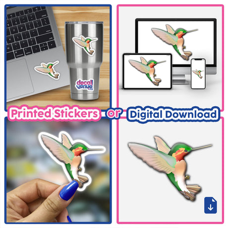 Collage showcasing Humming Bird stickers, featuring close-ups of stickers on various surfaces, including a laptop keyboard, highlighting their versatility as unique vinyl decals and digital art.