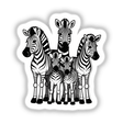 Zebra family