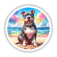 Colorful Beach Pitbull Dog