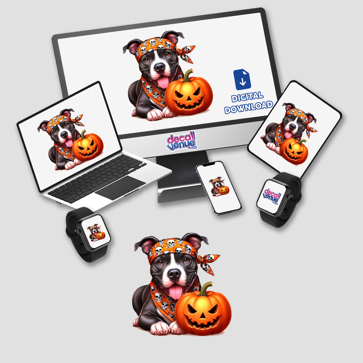 Halloween Hippie Skull Pitbull Dog - Playful pitbull wearing a Halloween headband and holding a pumpkin