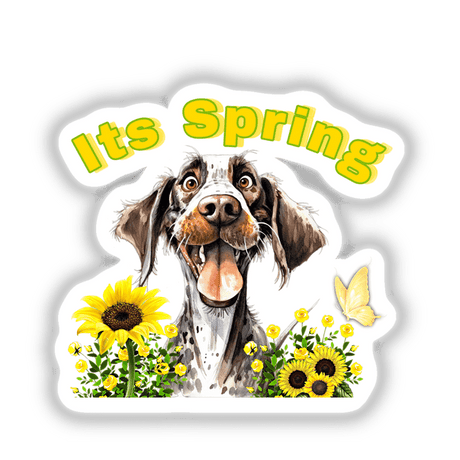 German Pointer Spring Season