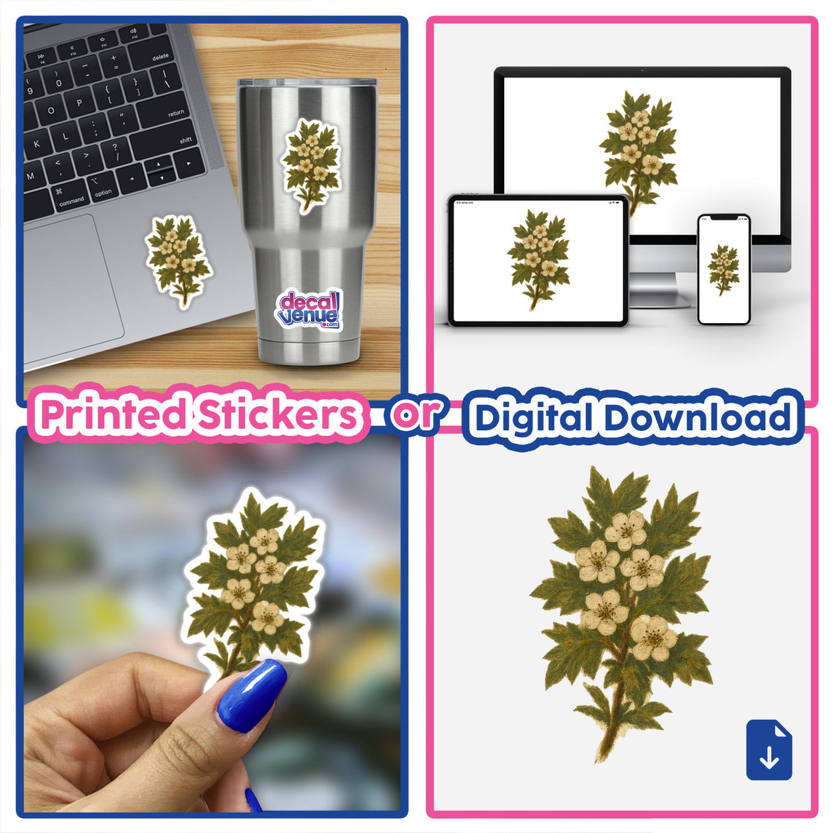 Missouri State Flower Sticker or Clipart featuring detailed Hawthorn Blossom Art, available as stickers or digital artwork, with commercial rights from Decal Venue's unique collection.
