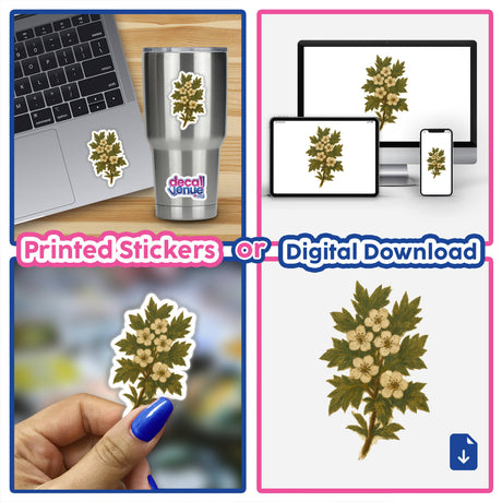 Missouri State Flower Sticker or Clipart featuring detailed Hawthorn Blossom Art, available as stickers or digital artwork, with commercial rights from Decal Venue's unique collection.